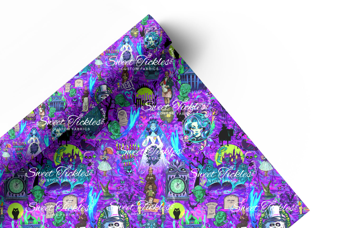 Preorder R73 Haunted Mansion - Purple Main - Vinyl