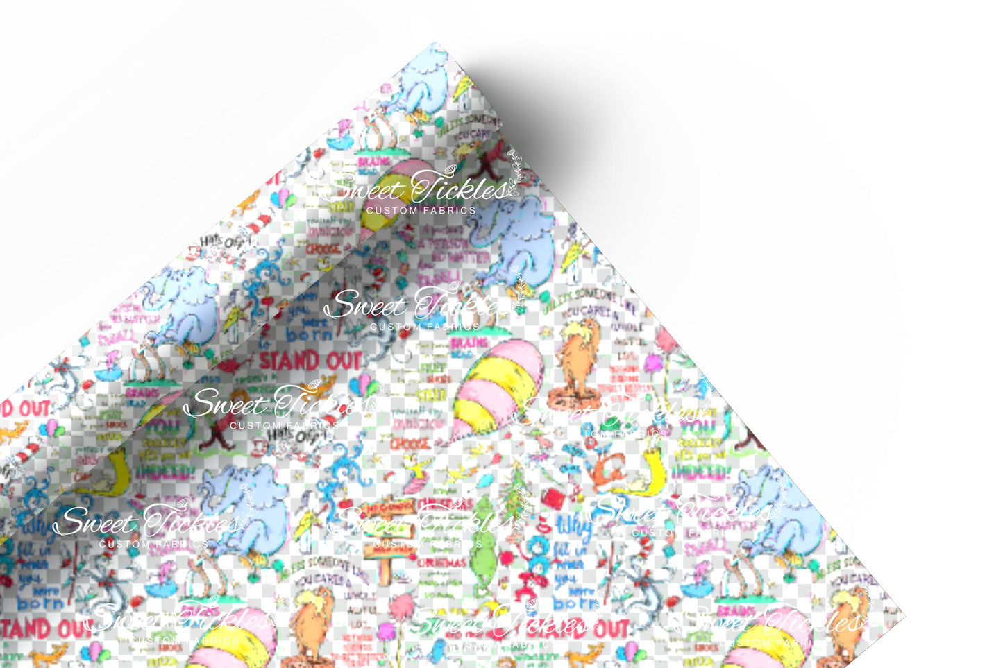 Preorder R66-Bookish/ Reading Corner - Main with Words - Clear Vinyl (TPU/ PVC)