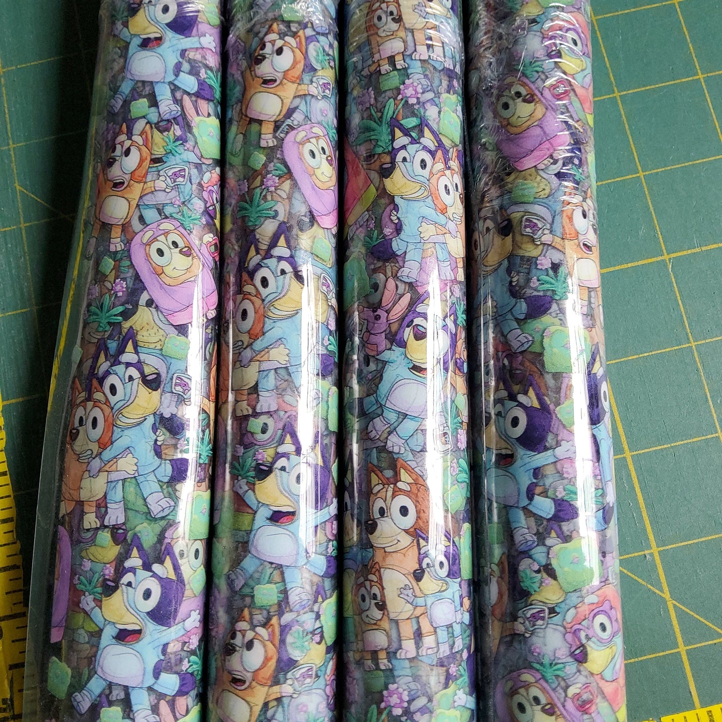 Preorder R19- Puppy Adventures- Clear Vinyl