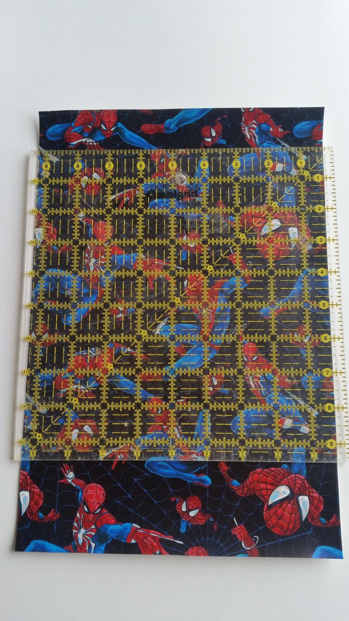 Retail-Spider Web Main- Vinyl/Faux Leather Sheet