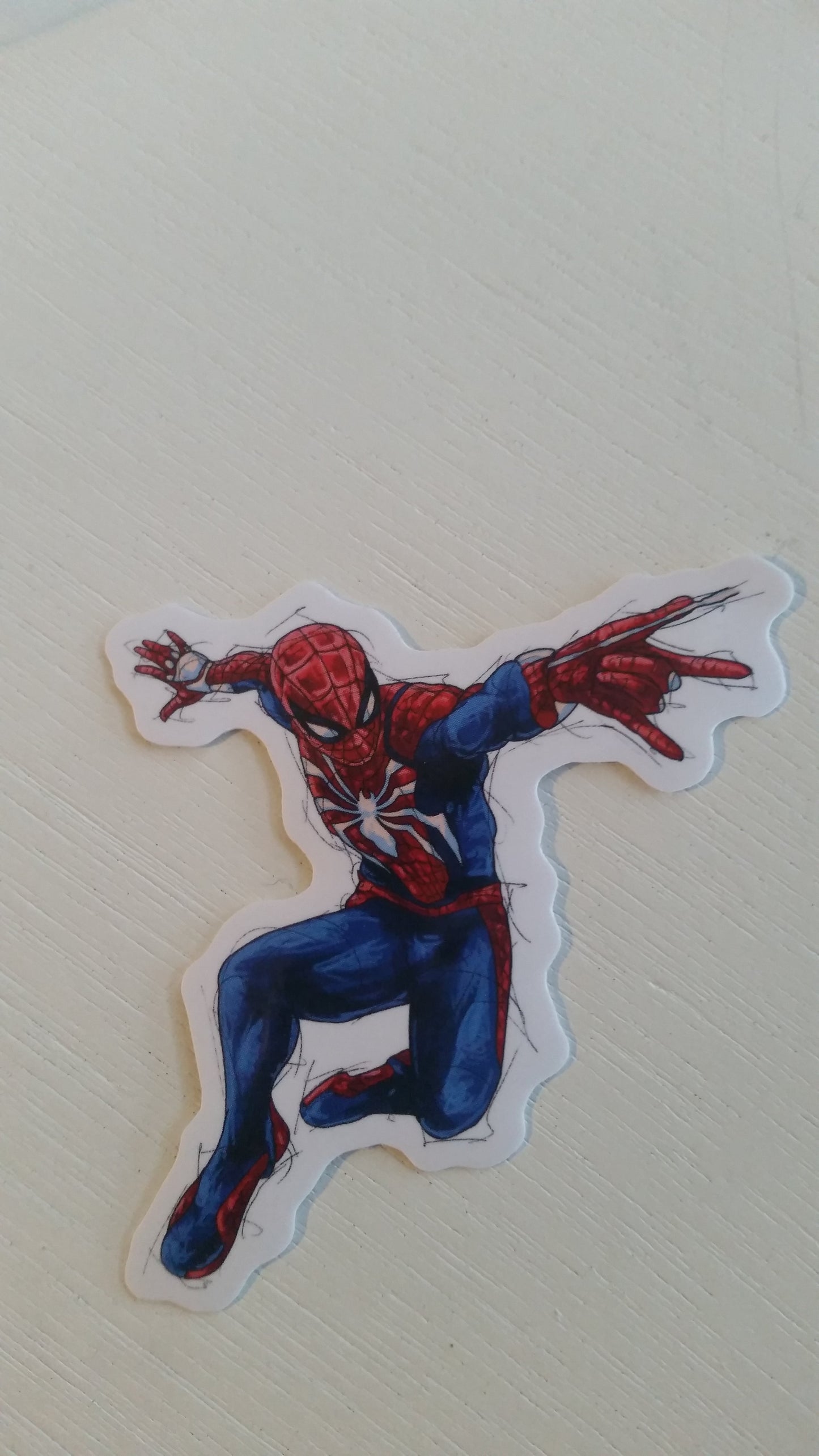 Vinyl Sticker-Spider Webs - Spider