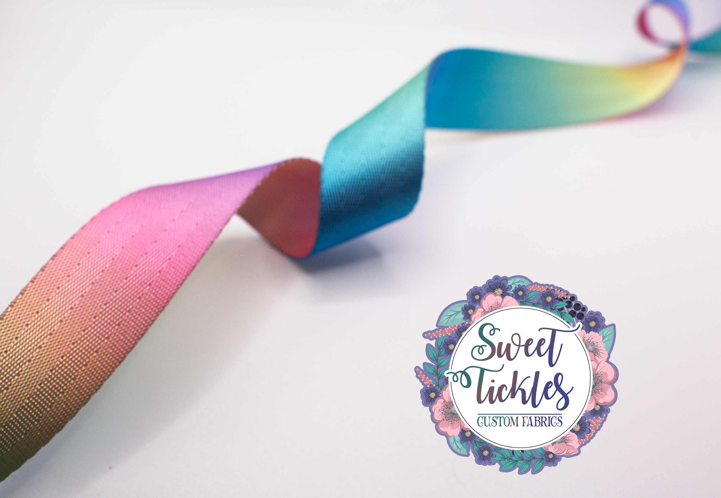 Exclusive- 1" Light Pastel Ombre Color- Seatbelt Webbing