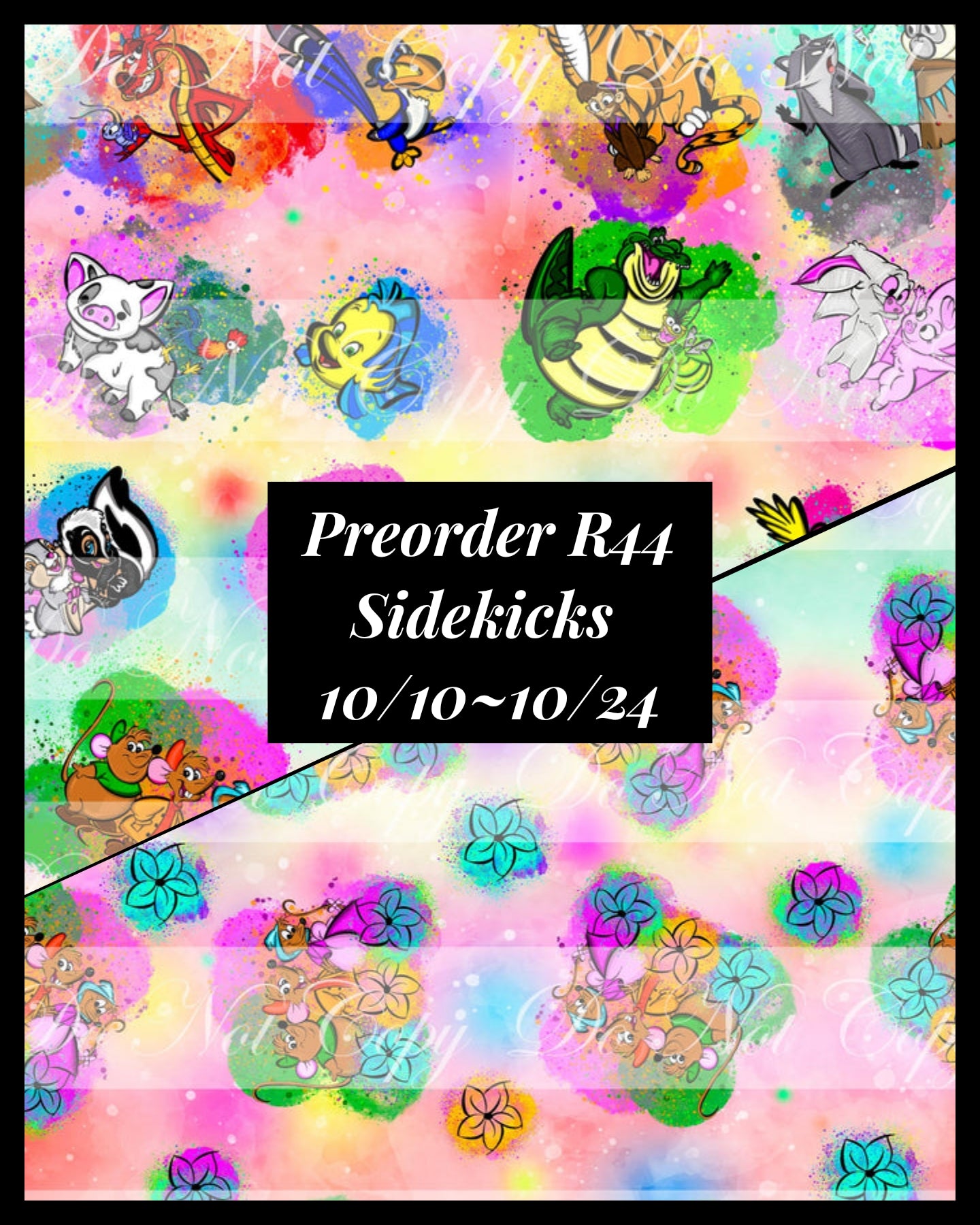 PREORDER R44 - Sidekicks