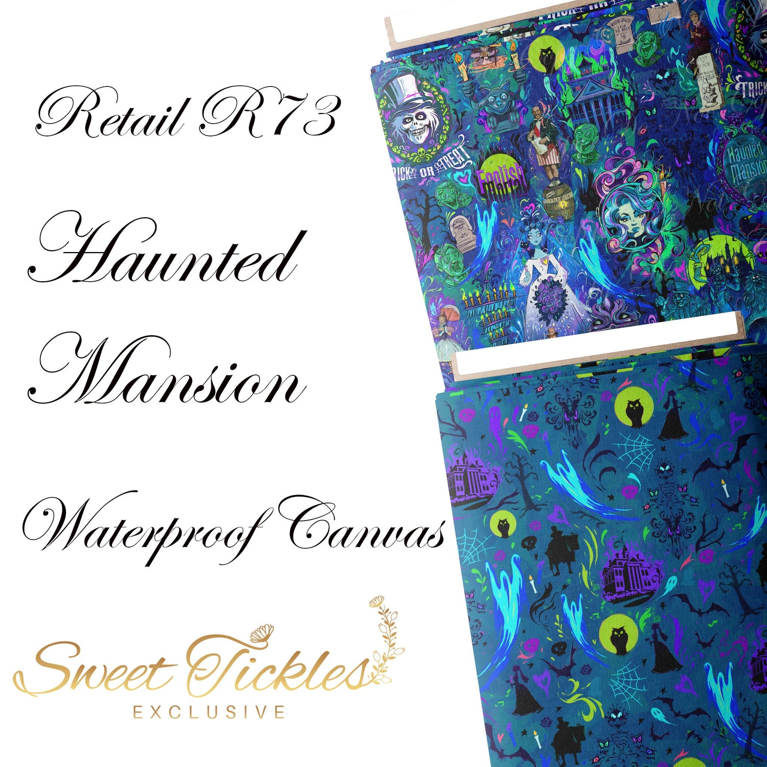 Retail R73 Haunted Masion Collection- Waterproof Canvas