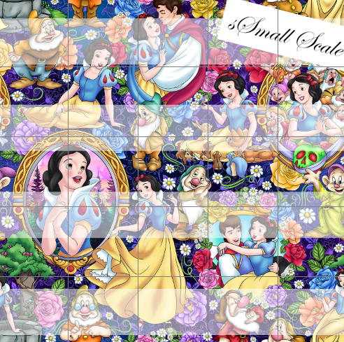 Preorder R72-The Magic Mirror-   Main Print 2