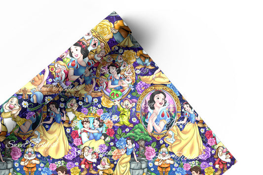 Preorder R72  The Magic Mirror-Main Print-2